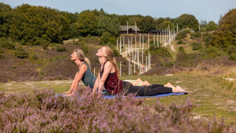 Yoga og mindfulness i Rebild Bakker