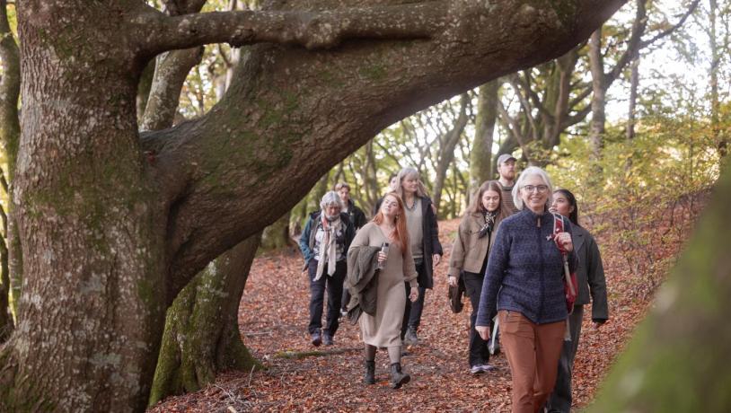 Velværevandring med Marianne Køpke