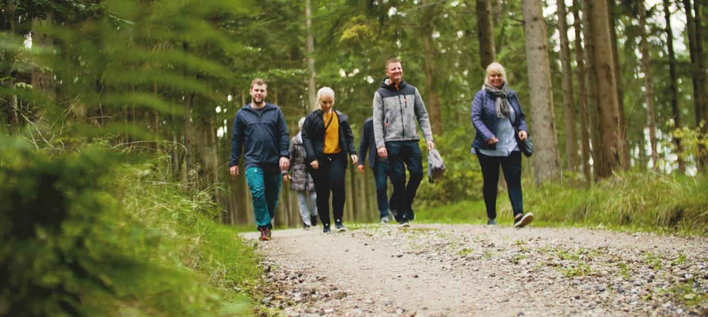 Gåtur i Rold Skov