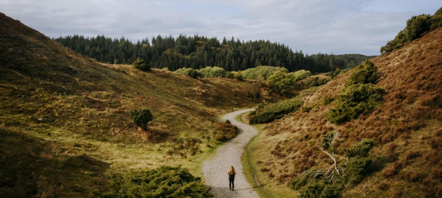 Vandring i Rebild National Park