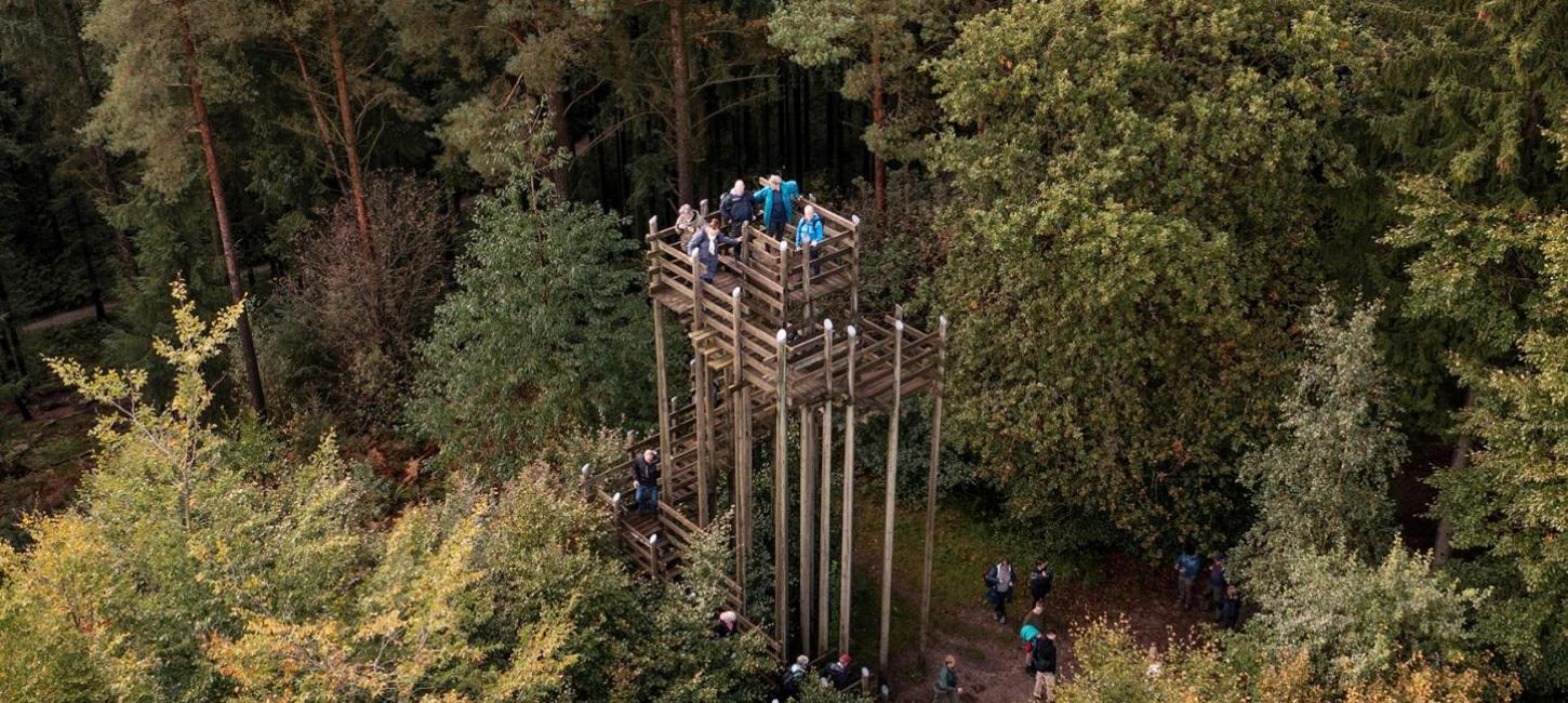 Skovtårnet Høje Odde, Rold skov