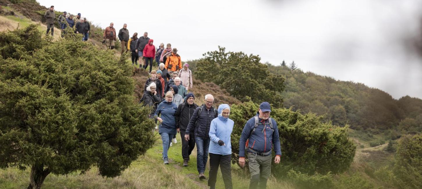 Vandring i Rebild National Park