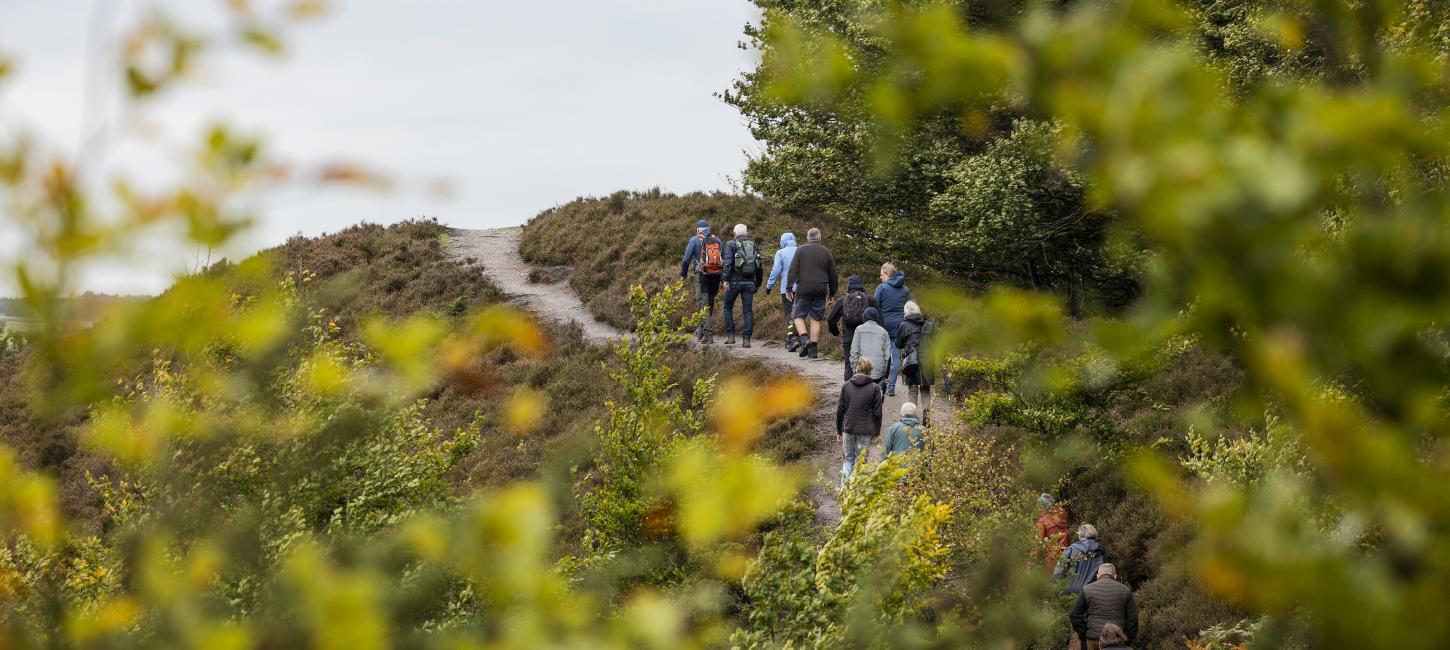 Vandring med guide i Rebild Bakker