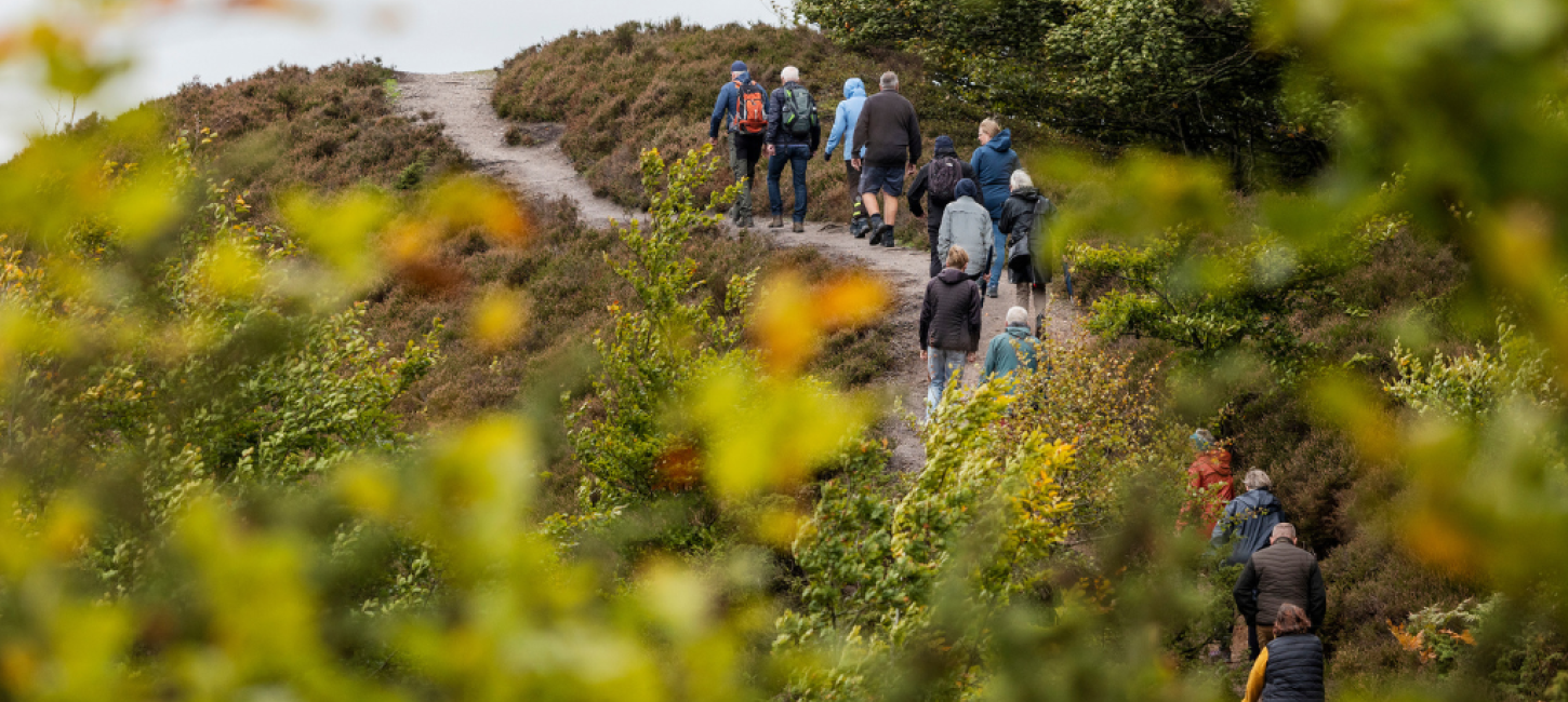 MEETNATURE Gruppe