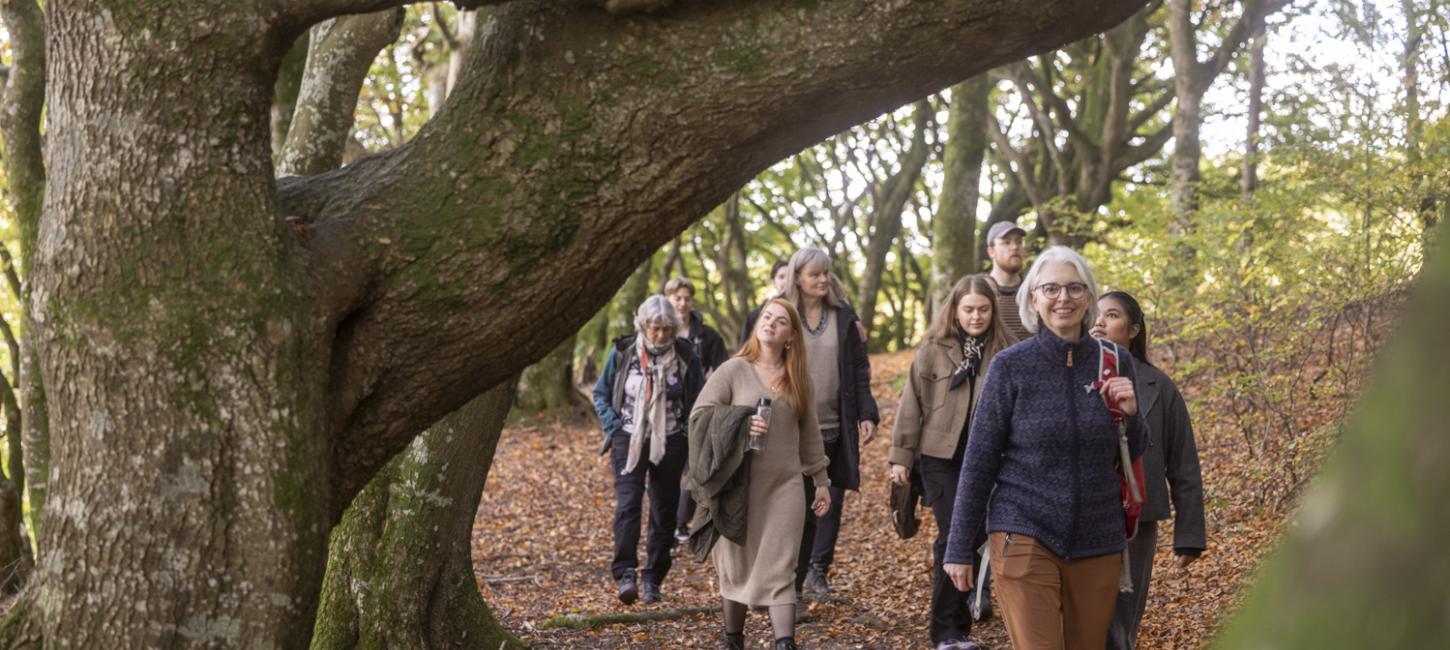 Guidede tur i Rold skov