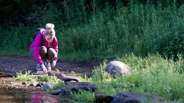 Vanddunk fyldes ved Ravnkilden vandring