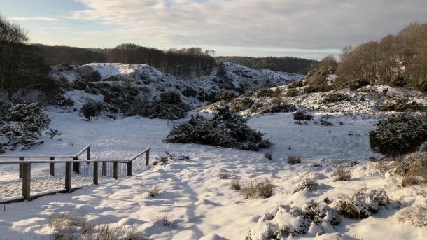 Sne i Rebild Bakker