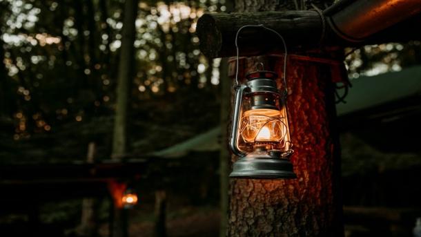 Lygte i det mørke Rold Skov