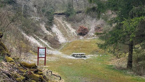 Fossiljagt i Skillingbro kalkgrav i Rold skov