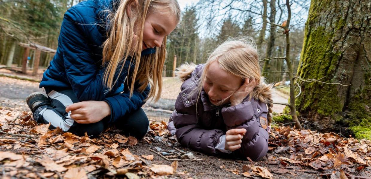 Piger spiller spil i skovbunden