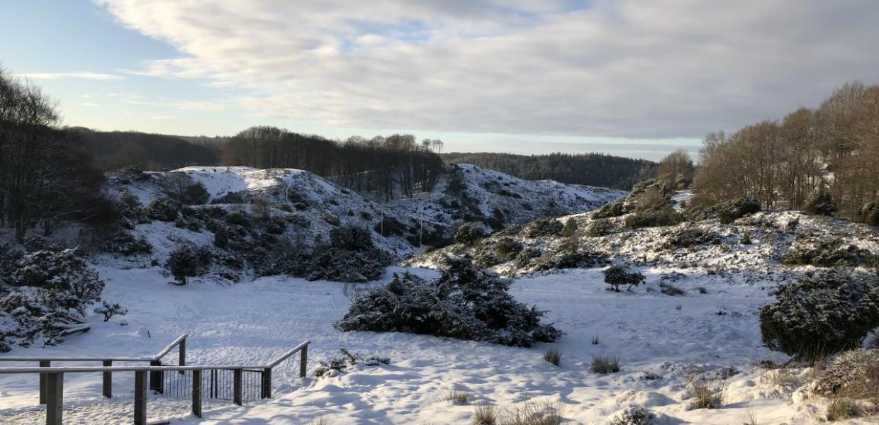 Rebild Bakker vinter sne