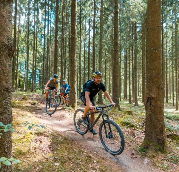 Mountainbike i Rold Skov