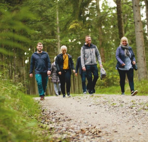 Gåtur i Rold Skov