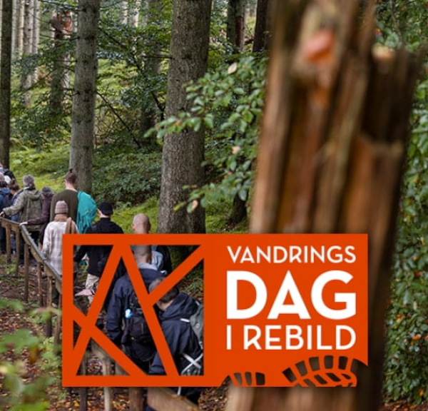Vandringsdage