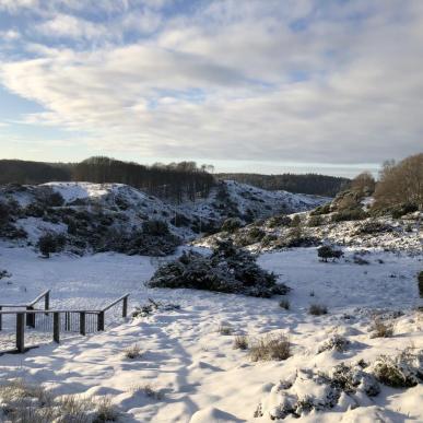Rebild Bakker vinter sne