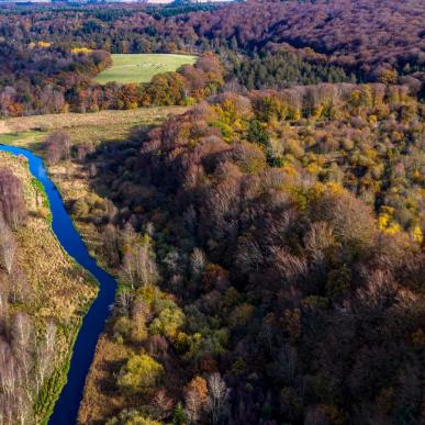 Lindenborg Å i Rold Skov