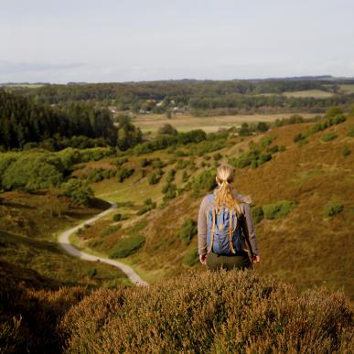 Vandring i Rebild National Park