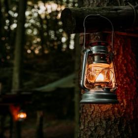 Lygte i det mørke Rold Skov