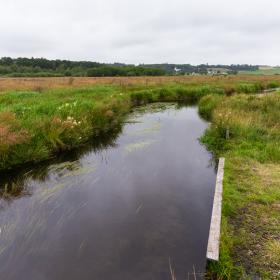 Lindenborg Å