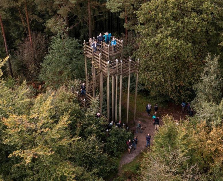 Skovtårnet Høje Odde, Rold skov