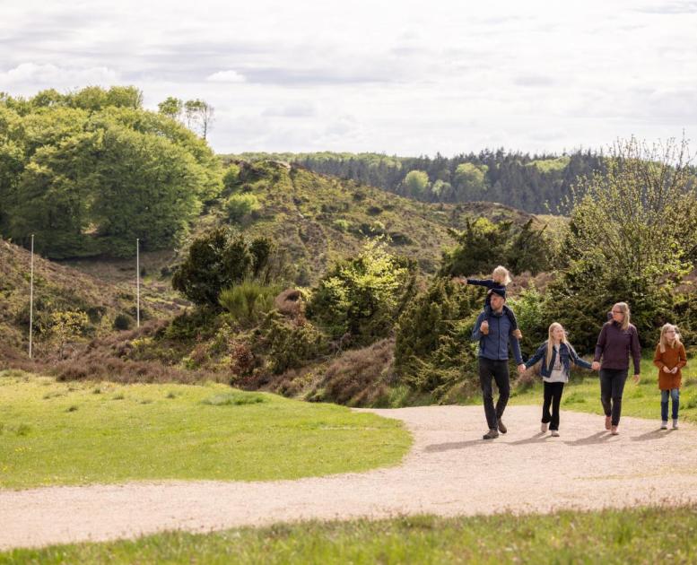 Forår i Rebild Bakker
