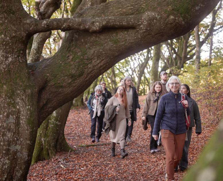 Velværevandring med Marianne Køpke
