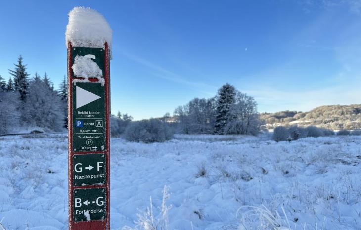 Vinter Rebild